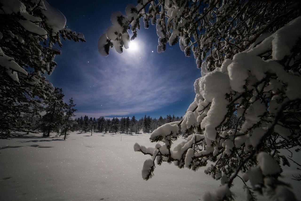 Northern Lights Village Saariselkae Esterno foto